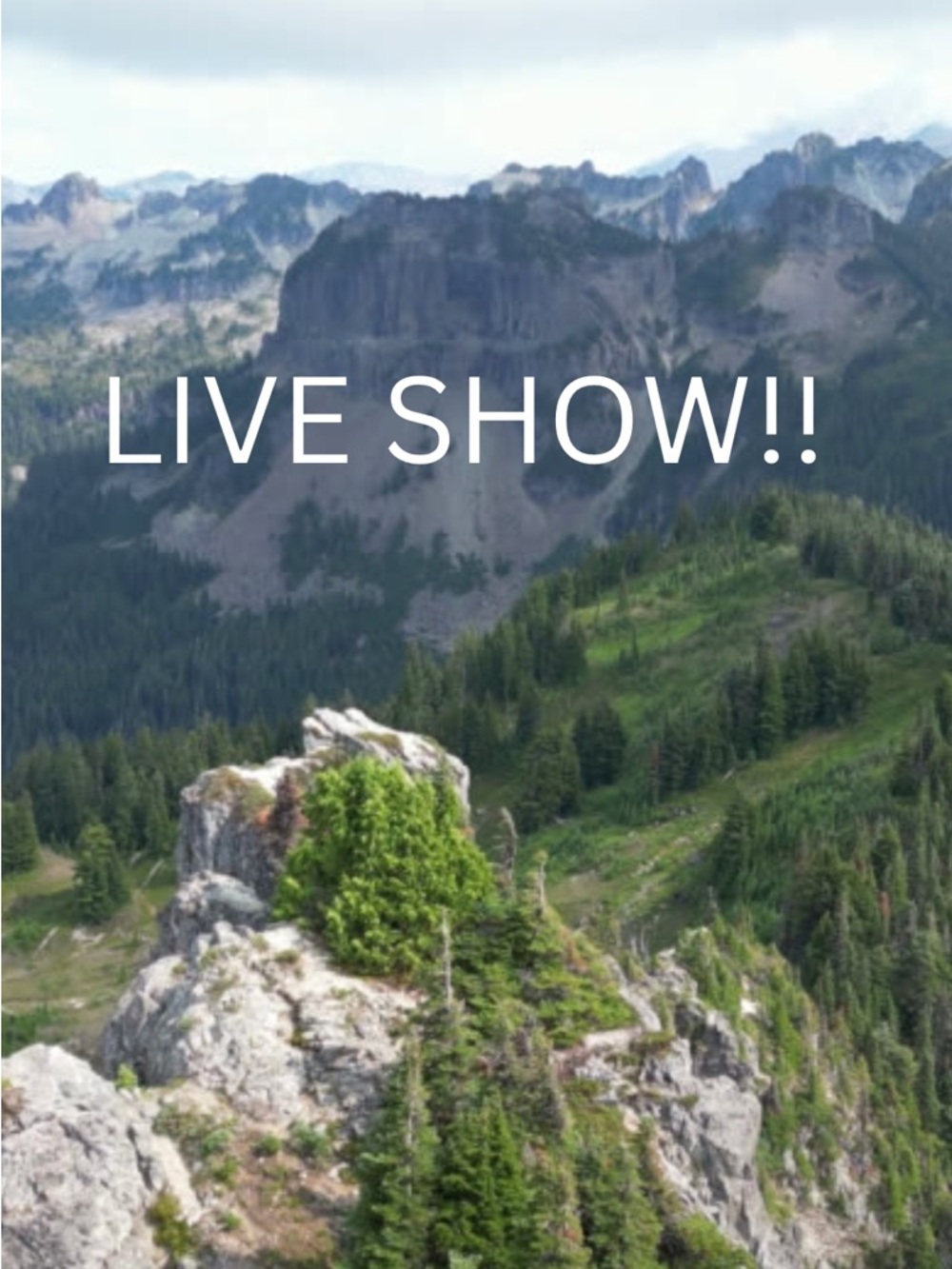 Faye’s Live